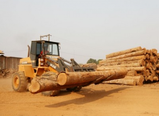 Linhas de financiamentos serão apresentadas em workshop de resíduo de madeira