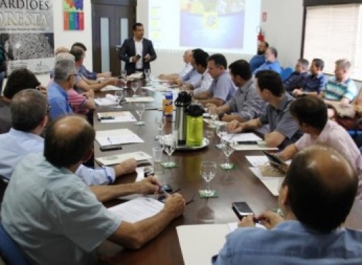 Reflexão sobre avanços e desafios do setor florestal marcam última reunião da diretoria do Cipem