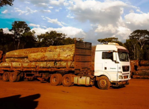 FNBF notifica Ibama para que resolva problema que impede transporte e comercialização de madeira