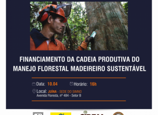 Banco do Brasil e Simno fazem reunião para explicar financiamento da cadeia produtiva da madeira