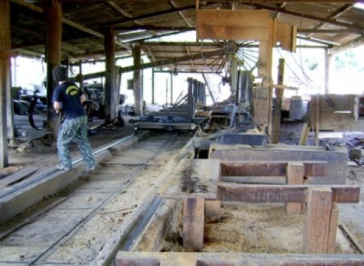 Decisão do TRF permite a reabertura de Madeireiras de Juína lacradas pela PF