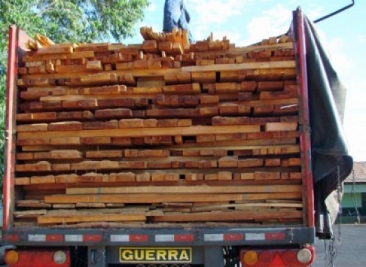 Assembleia derruba obrigatoriedade da classificação da madeira em MT