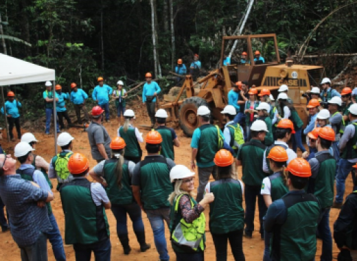 Dia na Floresta mostra manejo florestal sustentável na prática
