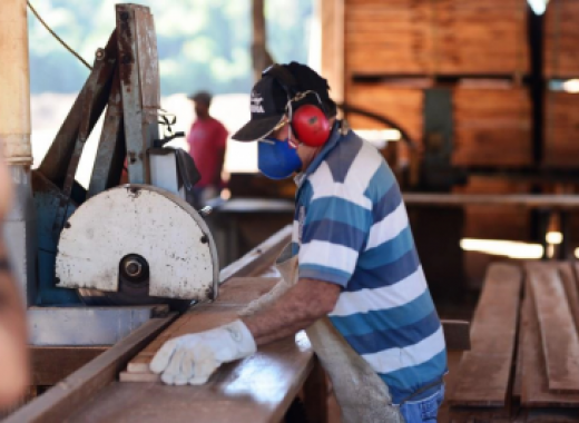 Sindicatos empresarial e laboral do setor madeireiro fecham Convenção Coletiva de Trabalho 2019/2021