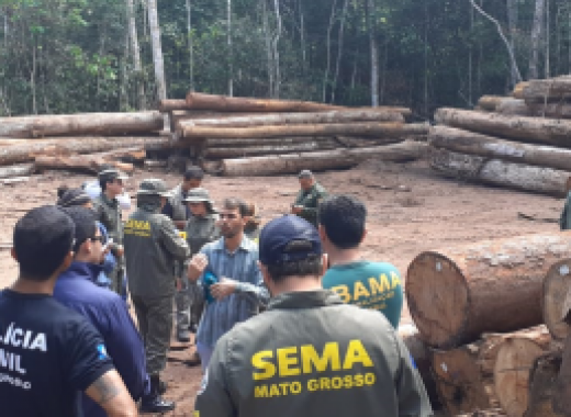 Órgãos ambientais e fiscalizadores realizam visita técnica em Plano de Manejo Florestal em Juína
